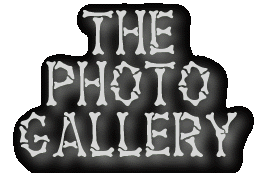 The Photo Gallery